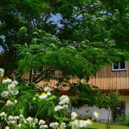 Das Stille Paradies Ledenitzen ภายนอก รูปภาพ