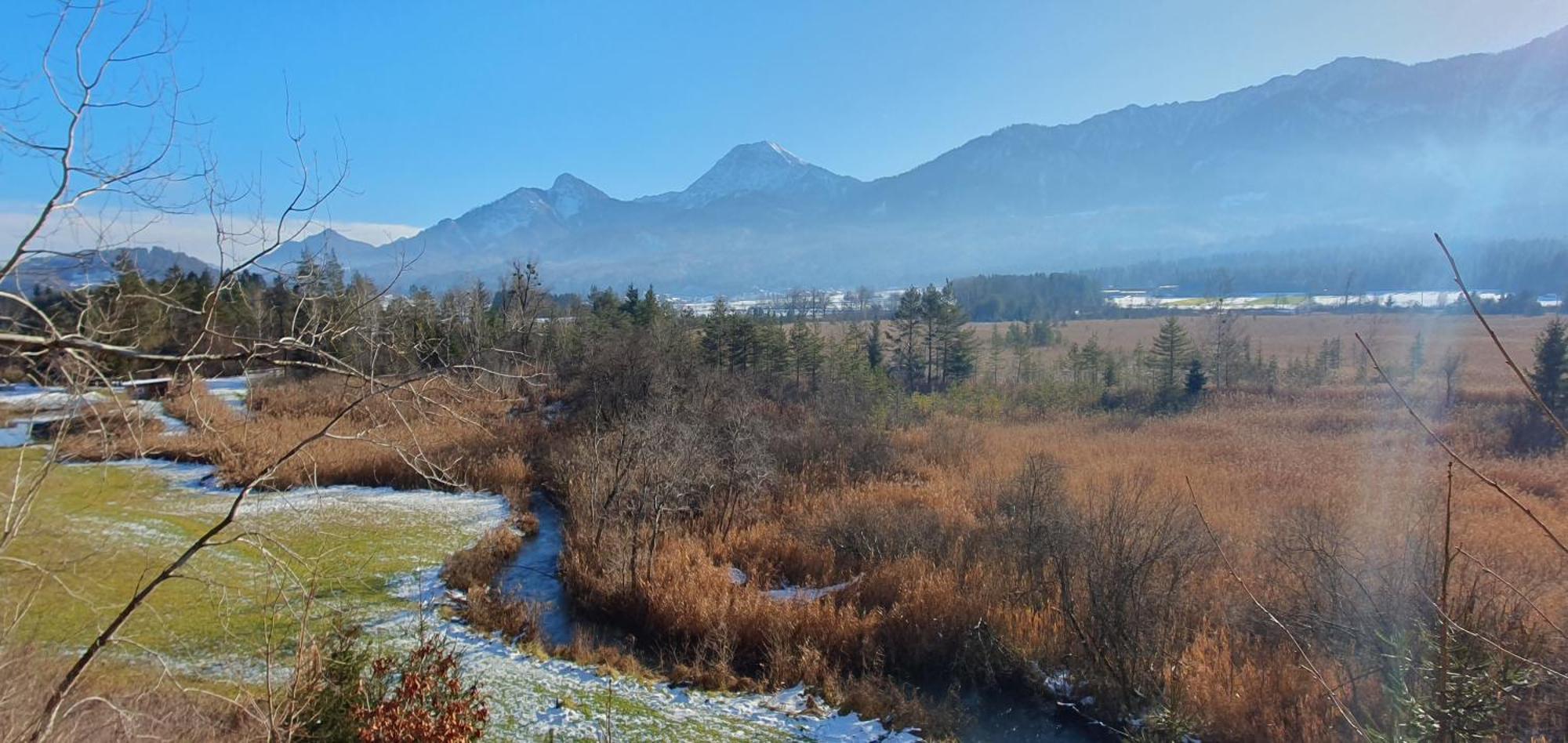 Das Stille Paradies Ledenitzen ภายนอก รูปภาพ