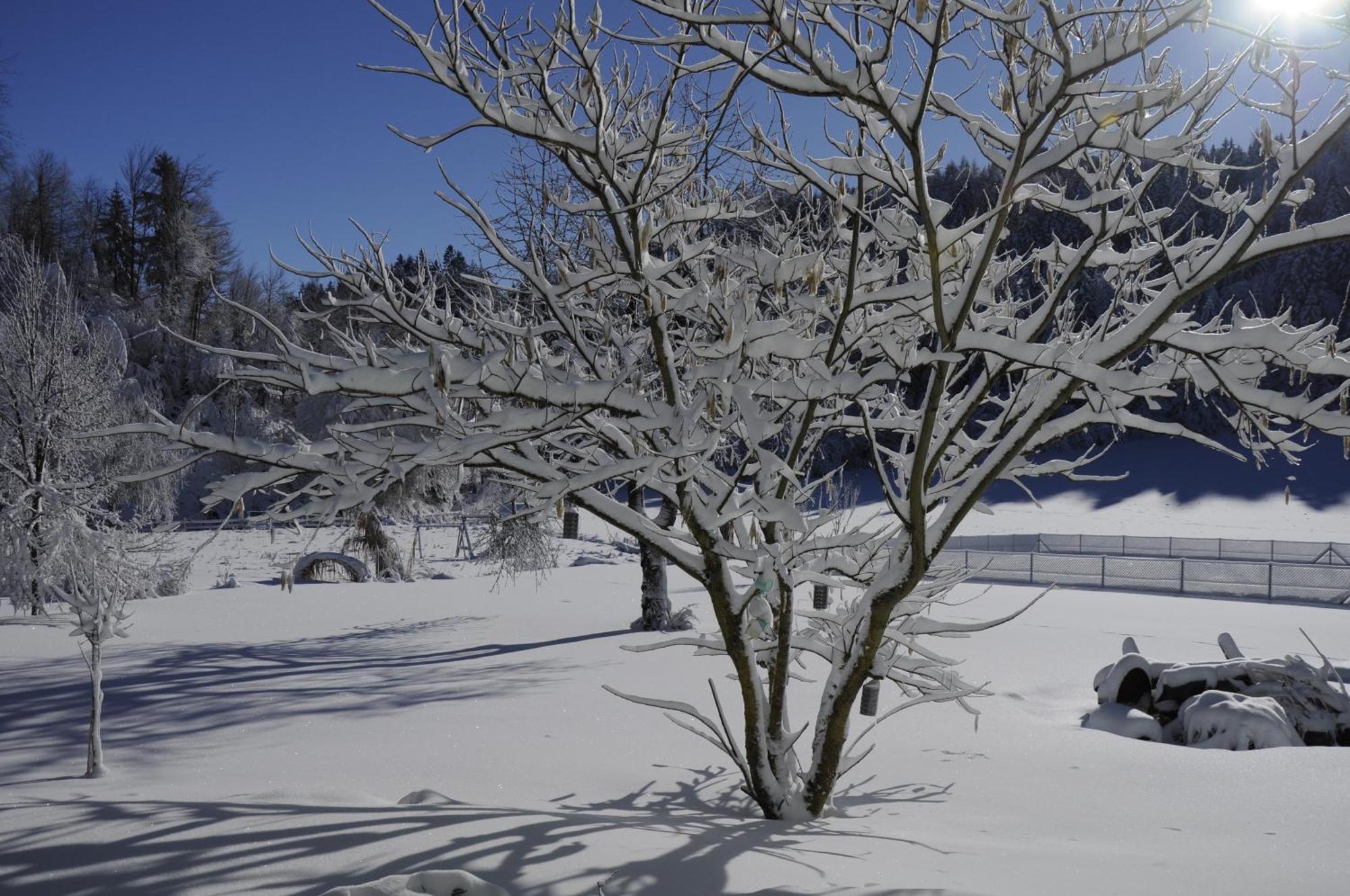 Das Stille Paradies Ledenitzen ภายนอก รูปภาพ