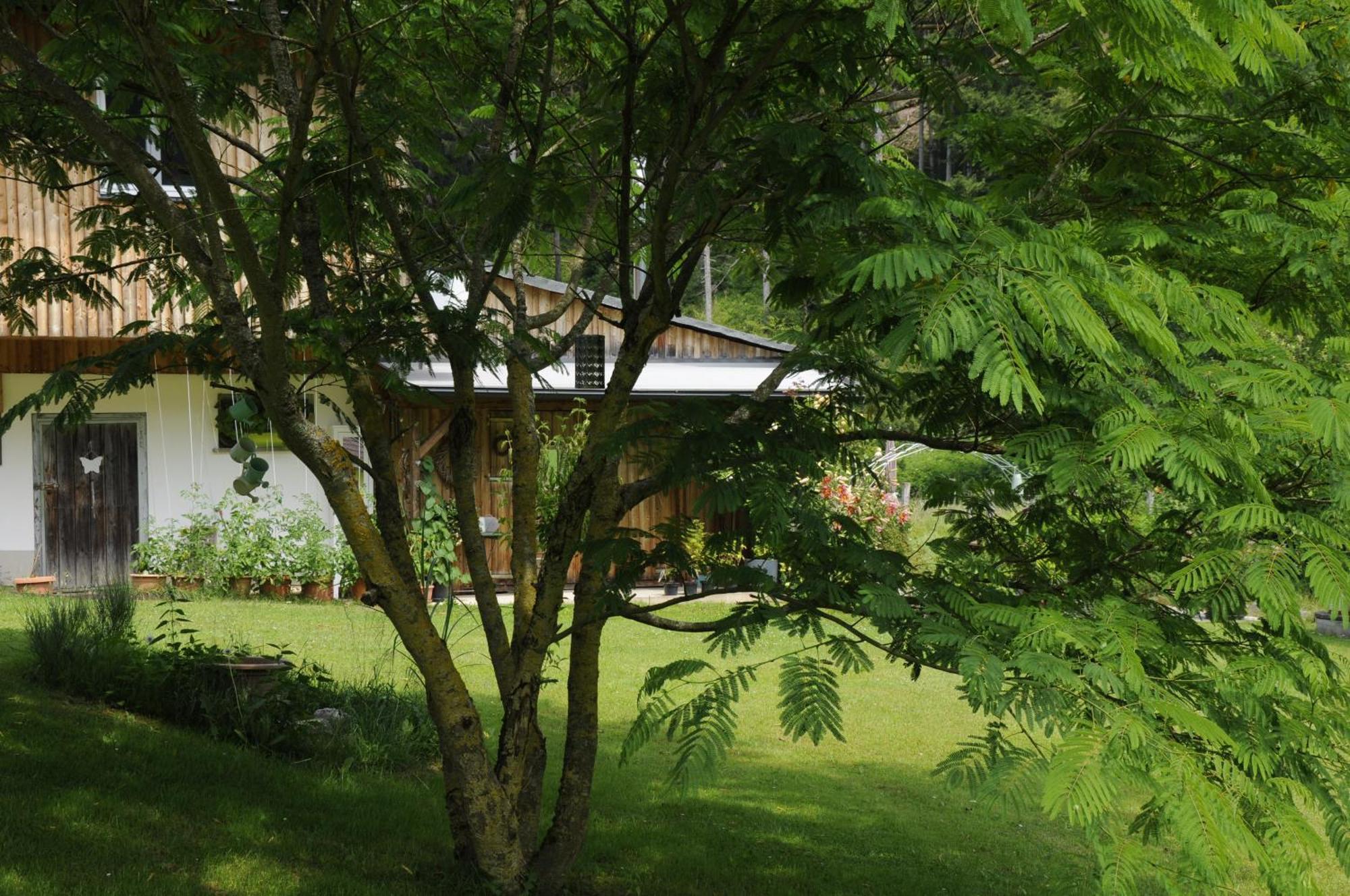 Das Stille Paradies Ledenitzen ภายนอก รูปภาพ