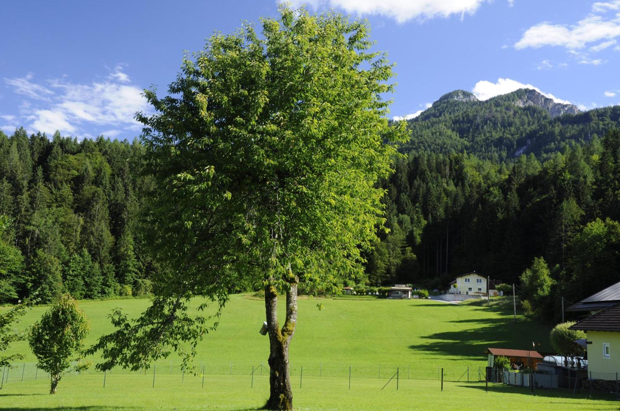 Das Stille Paradies Ledenitzen ภายนอก รูปภาพ