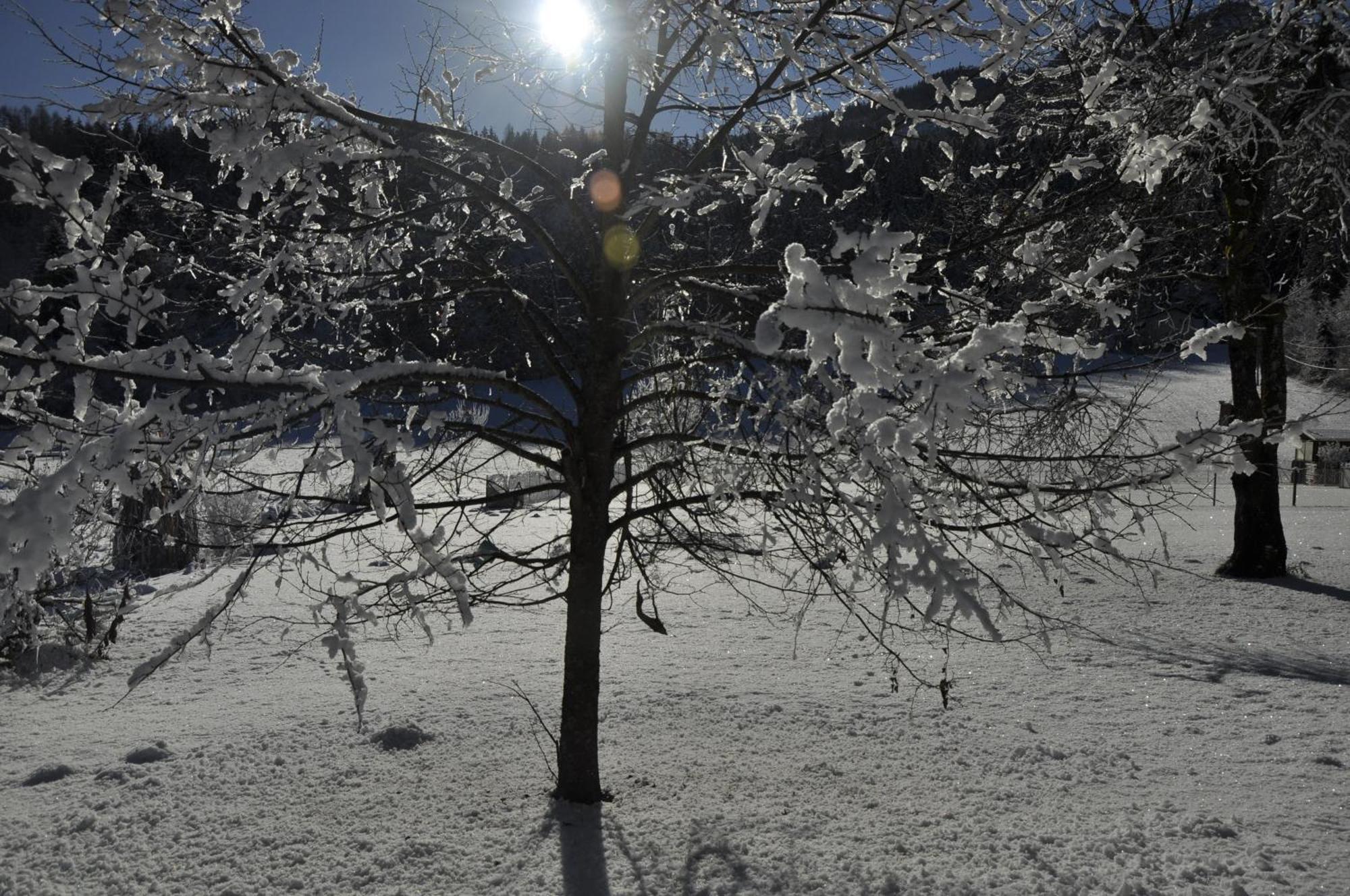 Das Stille Paradies Ledenitzen ภายนอก รูปภาพ